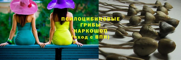 соль ск Абдулино