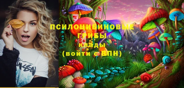 прущий лед Абаза