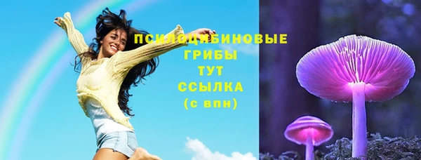 прущий лед Абаза