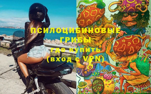 прущий лед Абаза