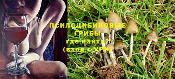 соль ск Абдулино