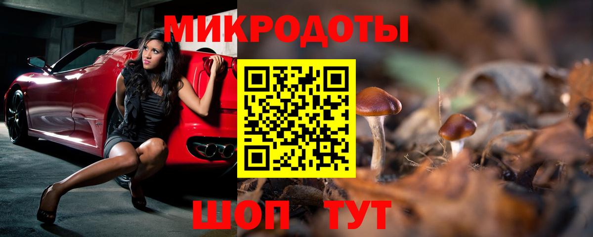 Смоленск  Псилоцибиновые грибы GOLDEN TEACHER  Вход с VPN 